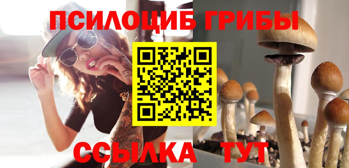 где купить наркоту  Вход с VPN  Октябрьский  Галлюциногенные грибы Cubensis 