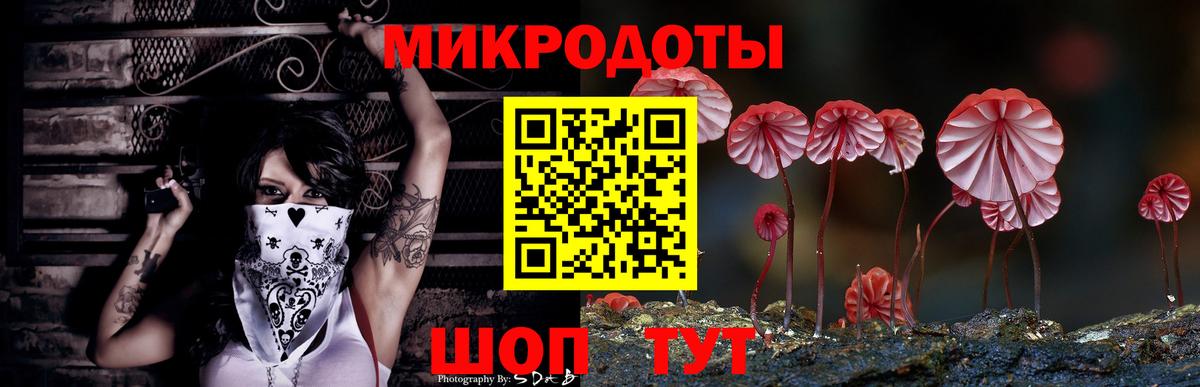 Псилоцибиновые грибы Psilocybine cubensis Октябрьский